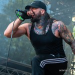 0241 Brutal Assault 2023